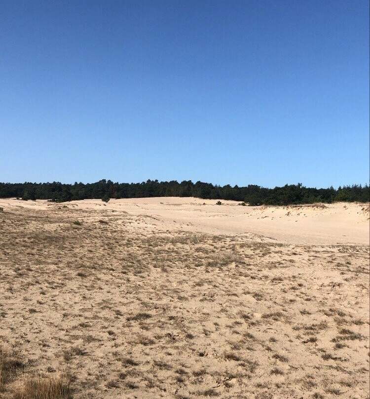 Kootwijkerzand-Kootwijk必去景点