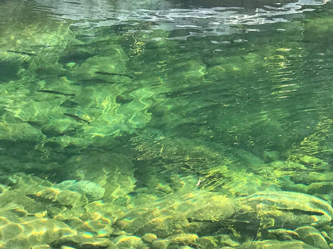 Trinity Alps Resort