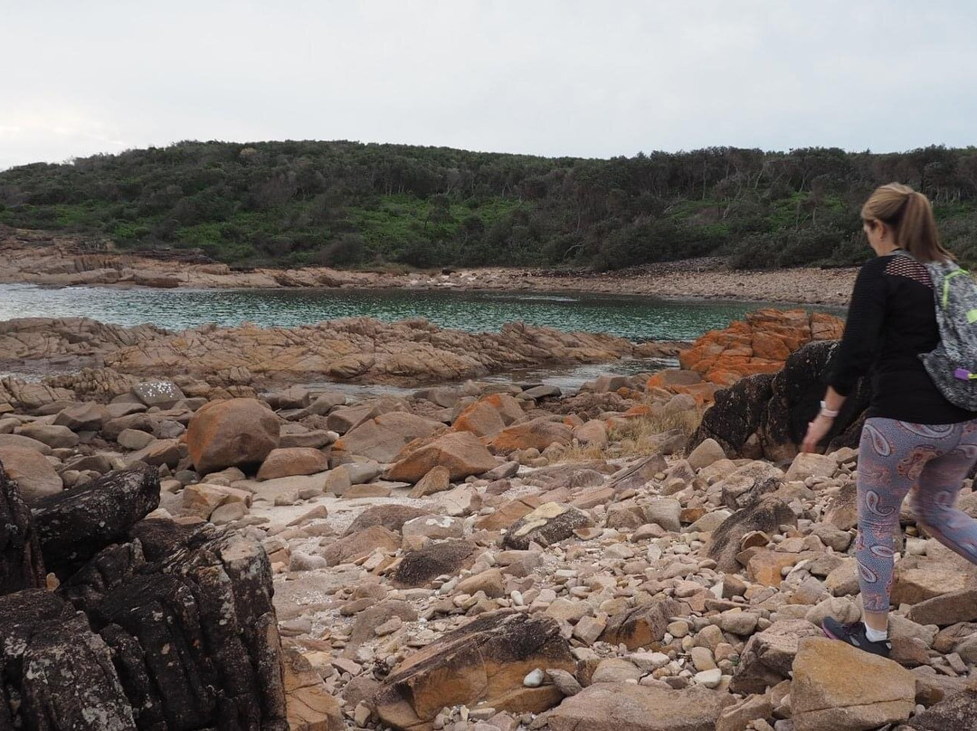 Tomaree Coastal Adventures-史蒂芬斯港必去景点