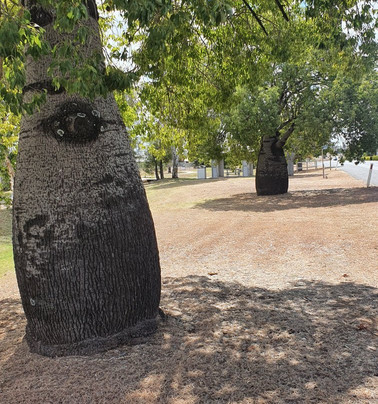 Capella Coach Inn主图