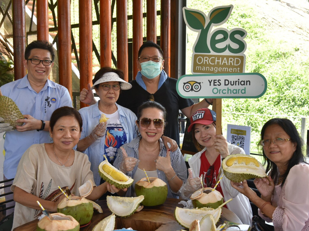 YES Durian Orchard-Raub必去景点