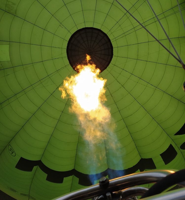 Aircat-维克必去景点