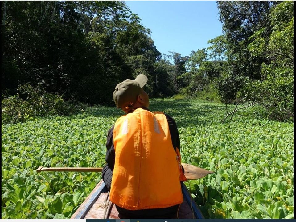 Jimmy Jaguar Travel-伊基托斯必去景点