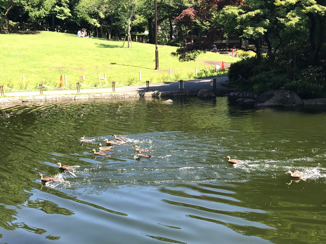 Sanshinomori Park-杉并区必去景点