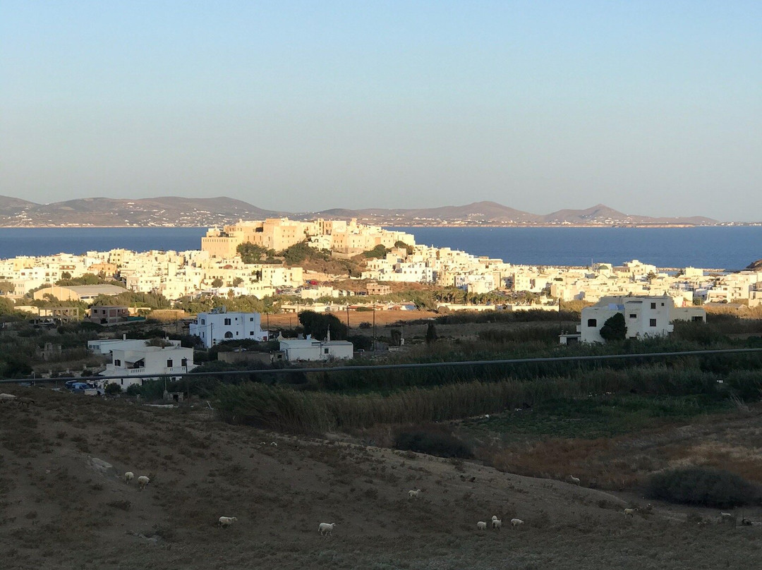 Paradisia Villas主图