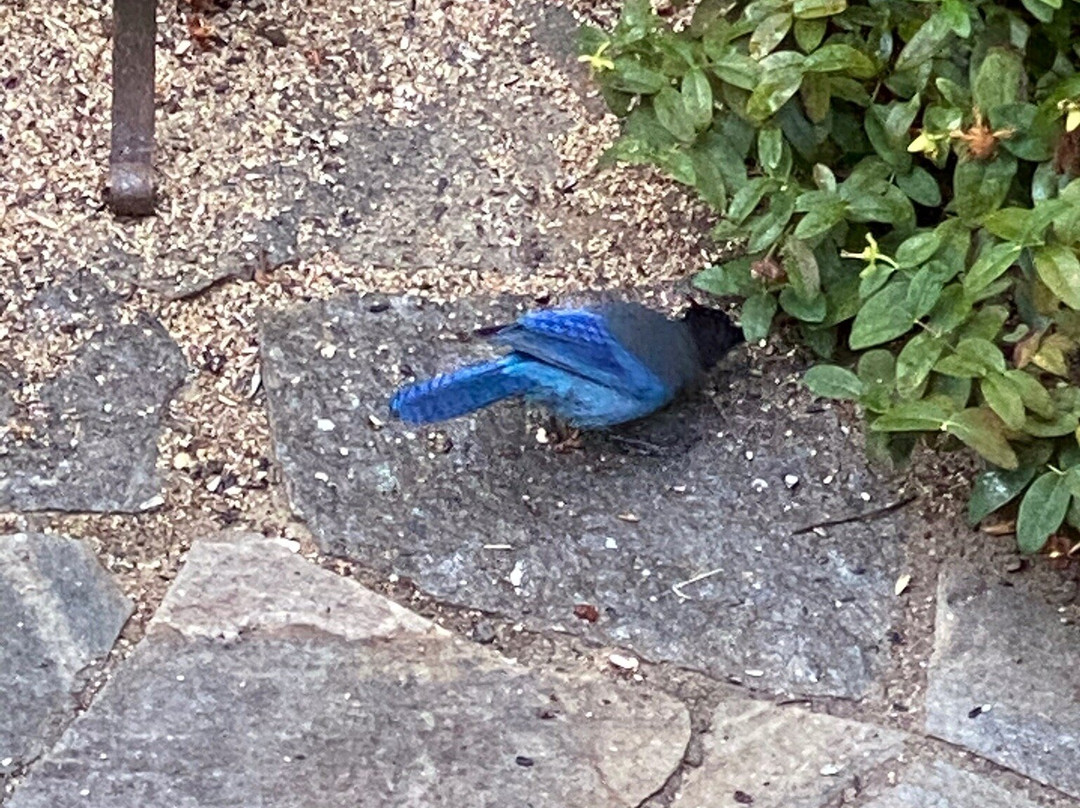 Vida旅游攻略图片