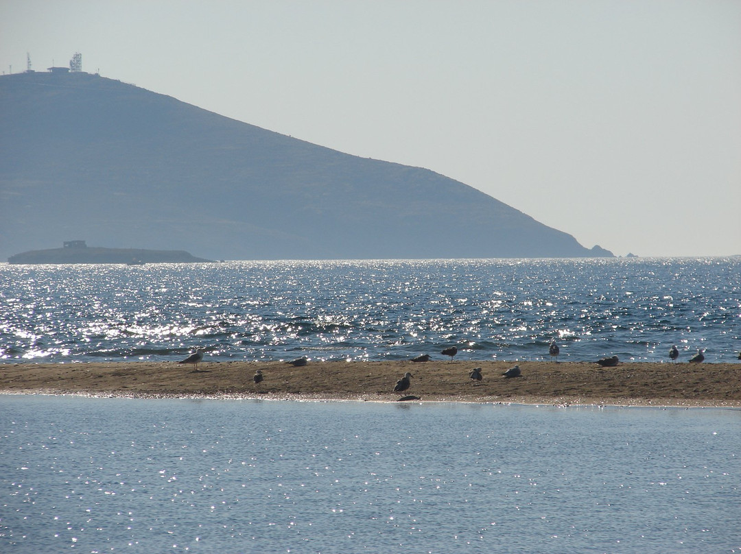 Kumburnu Beach景点图片