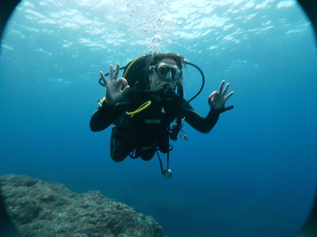 Twin peaks diving center景点图片