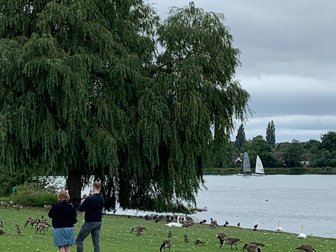 Himley Hall and Park景点图片