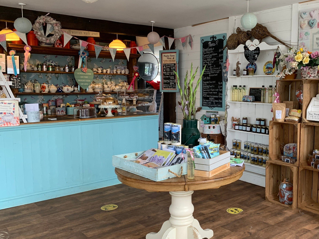 Sandilands旅游攻略图片