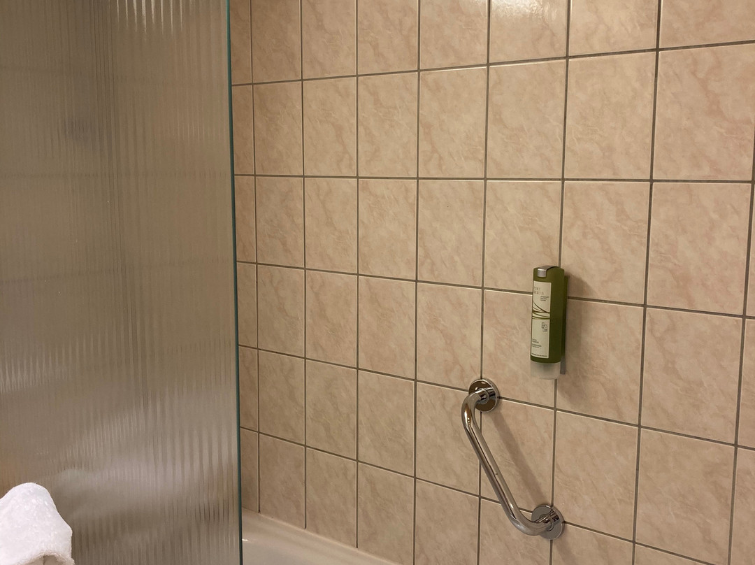 Chalet Hôtel La Chemenaz主图