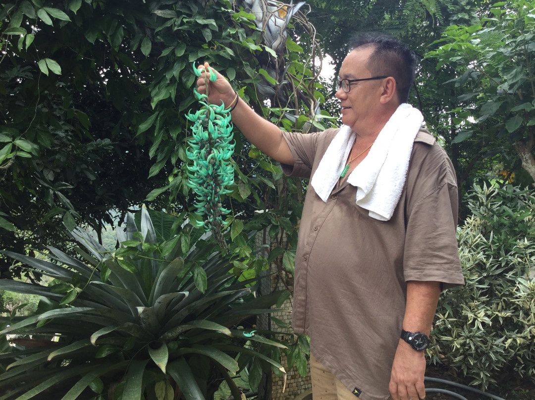 Art and Garden-槟城岛必去景点