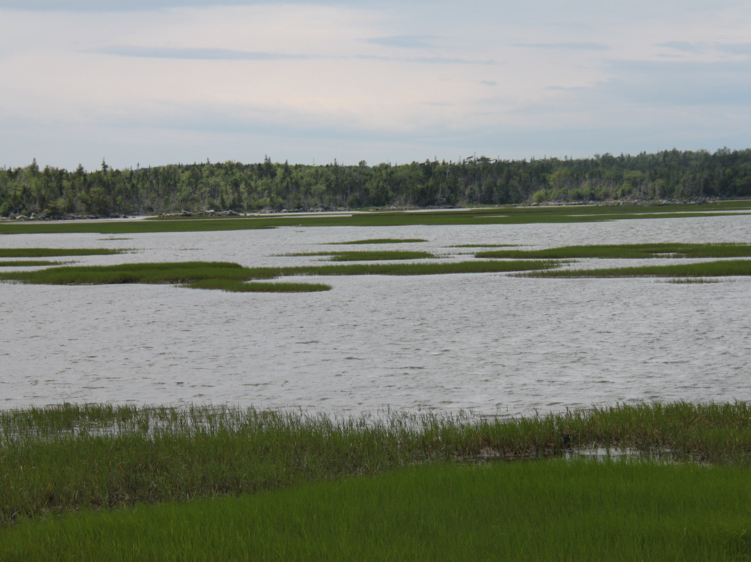 Salt Marsh Trail-Cole Harbour必去景点