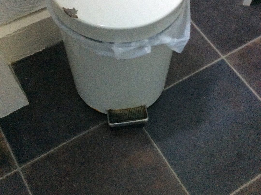 Cavendish Arms主图