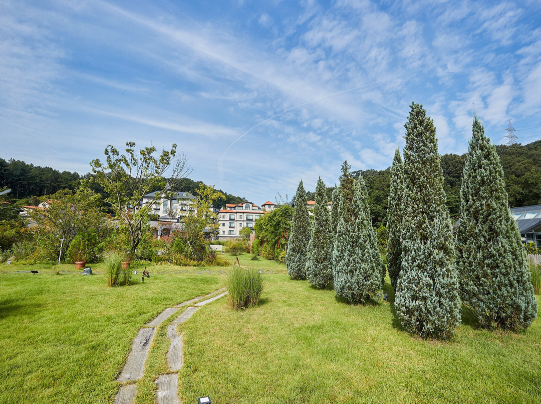 Eden Paradise Hotel主图