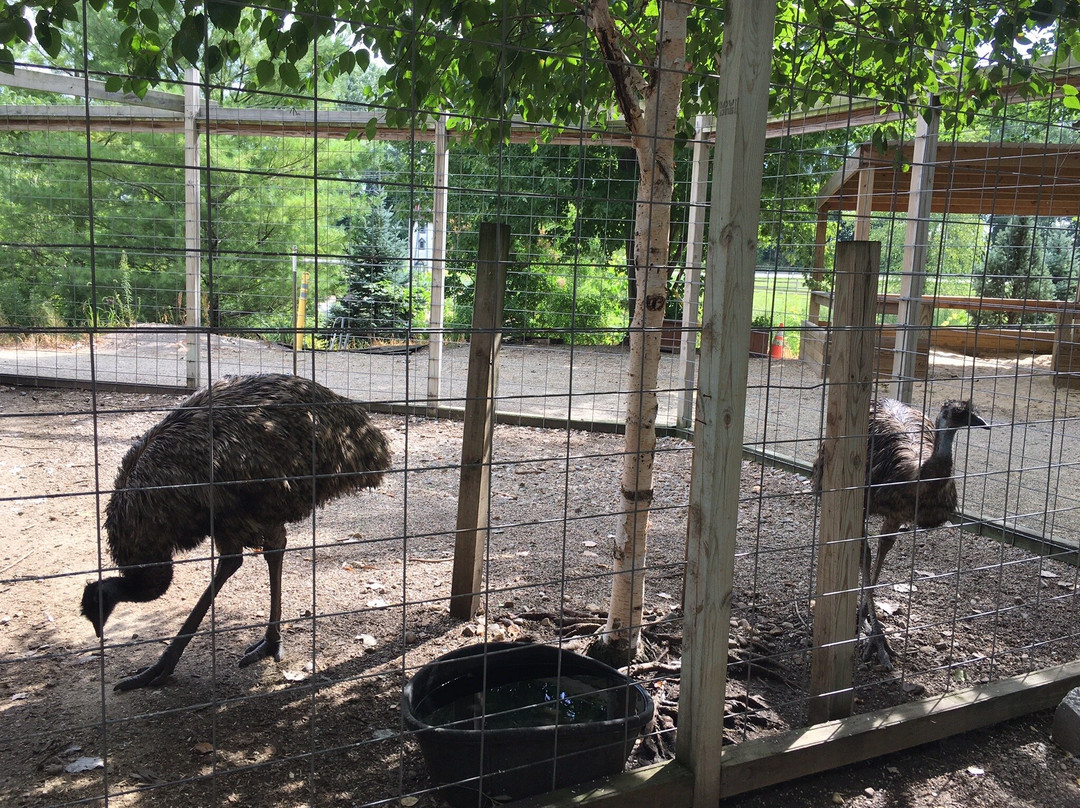Linton's Enchanted Gardens-埃尔克哈特必去景点