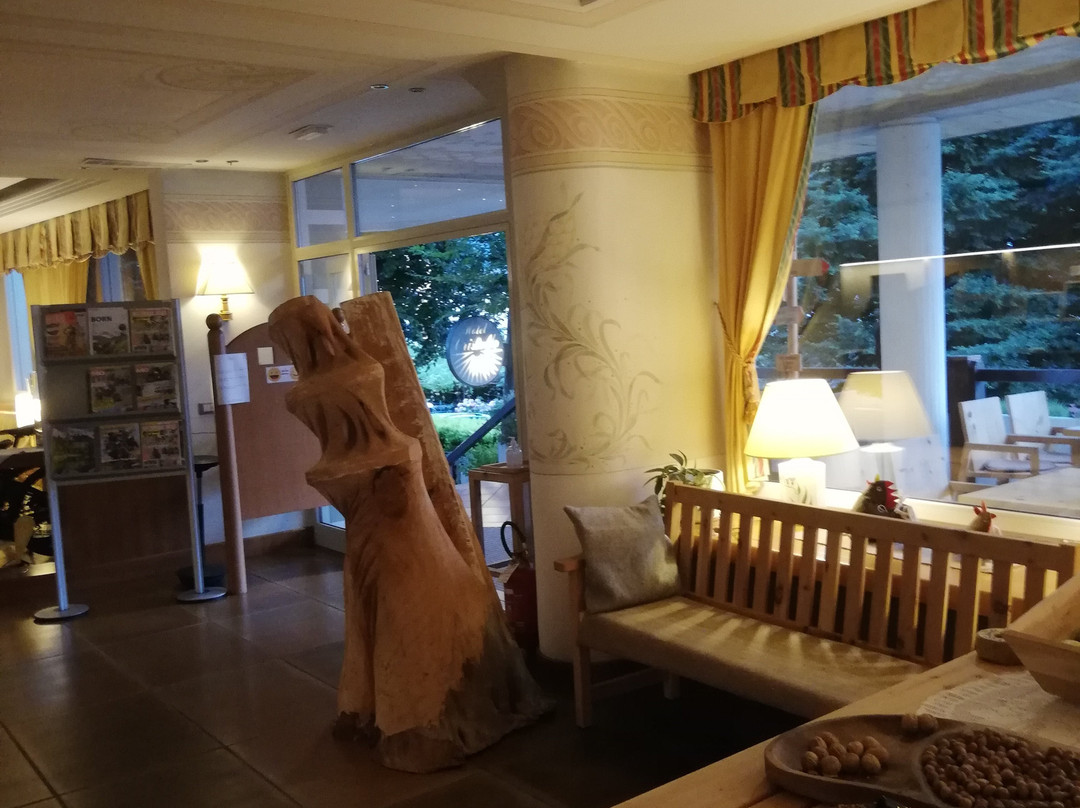 Cristallo Sport & Wellness Hotel主图