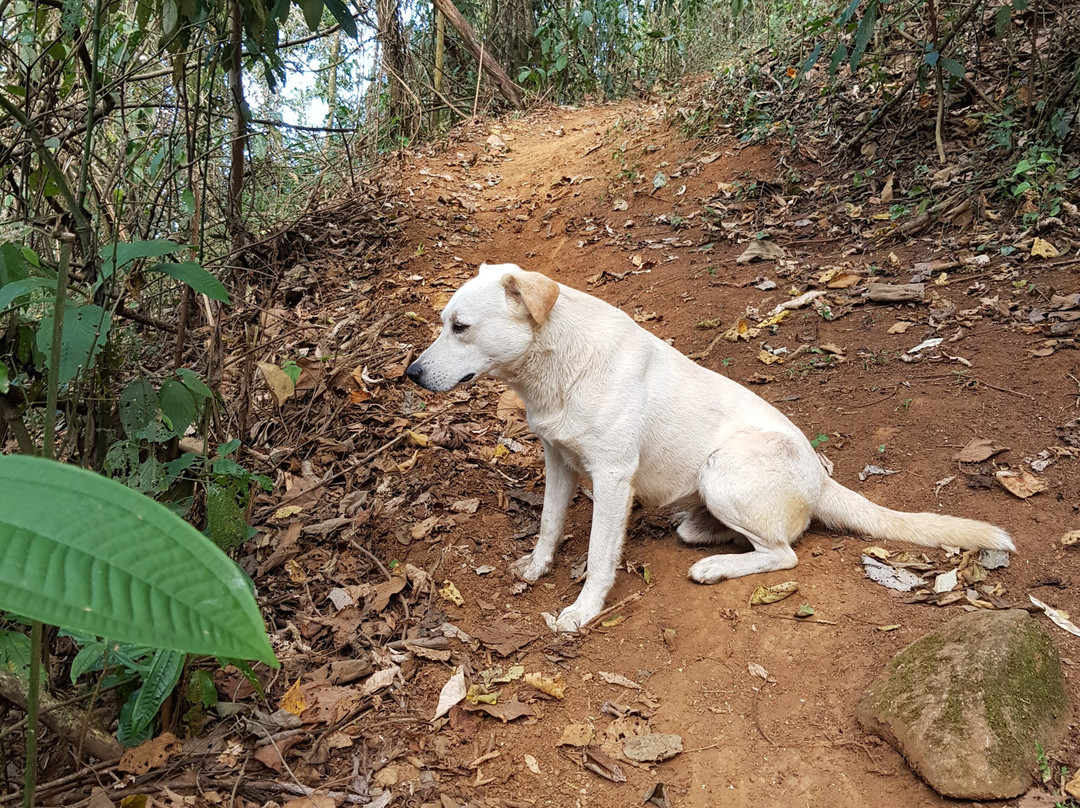 Pedra do Om-Monteiro Lobato必去景点