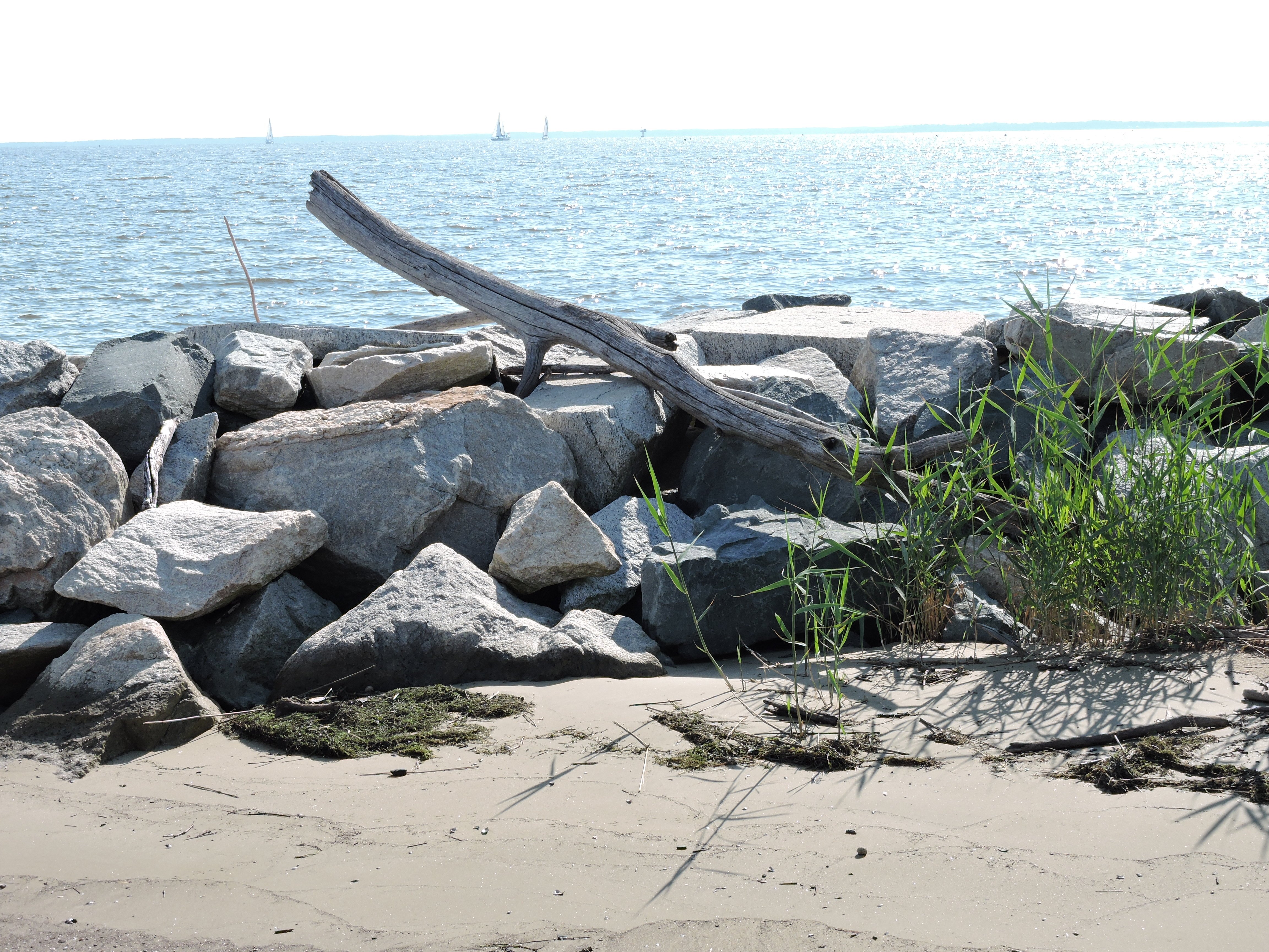 North Point Motel-官方