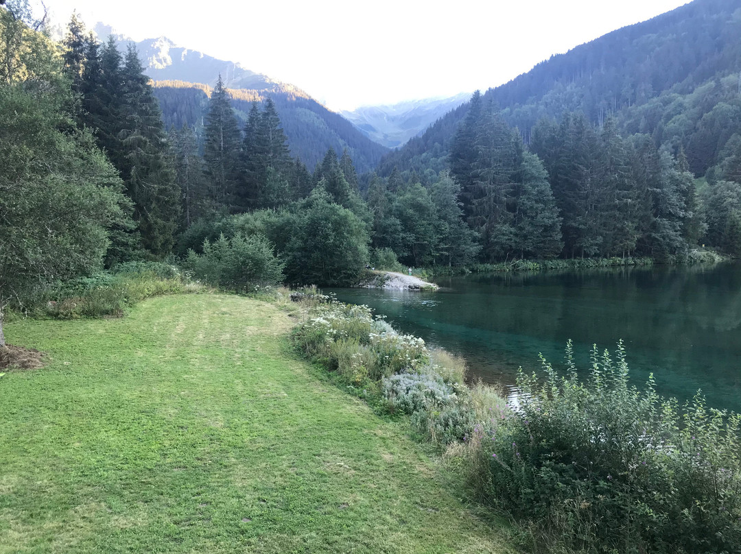 Gite de l'Ancolie