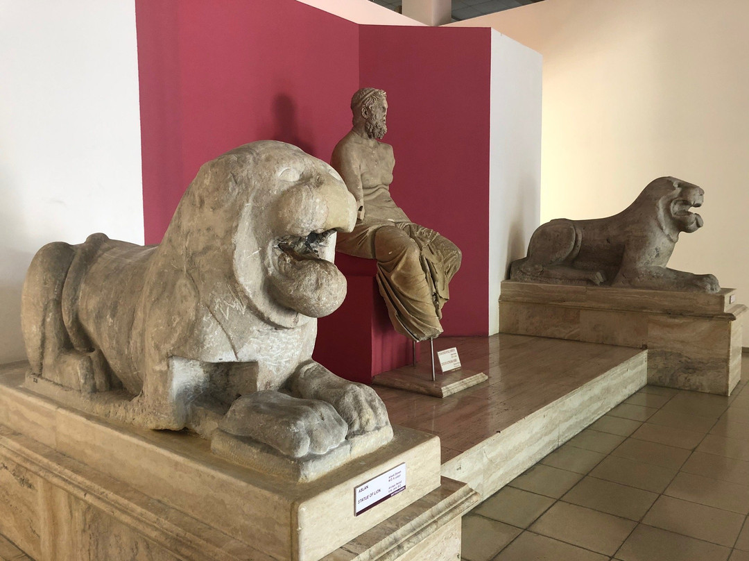 Izmir Museum of History and Art景点图片