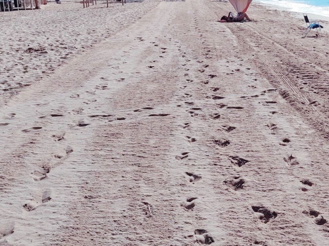 Hotel Cesar Augustus主图