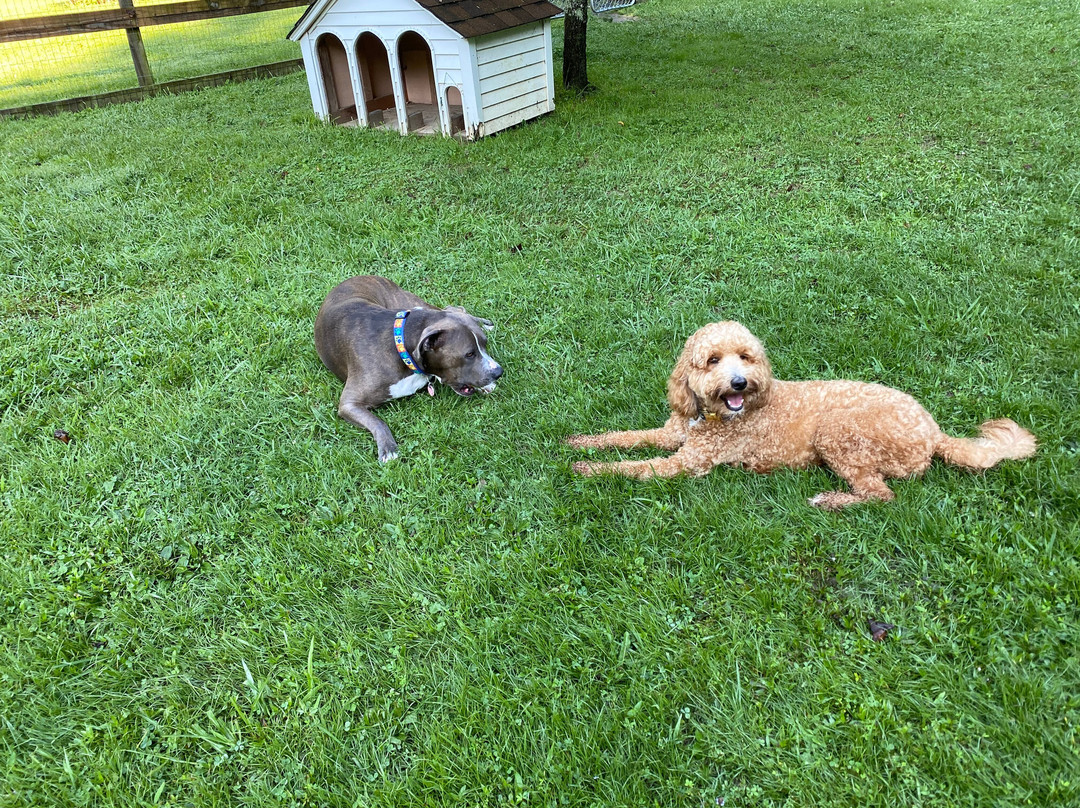 3B's Inn Bed Breakfast & Biscuits主图