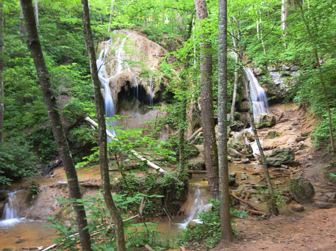 Falls Ridge Preserve-Elliston必去景点