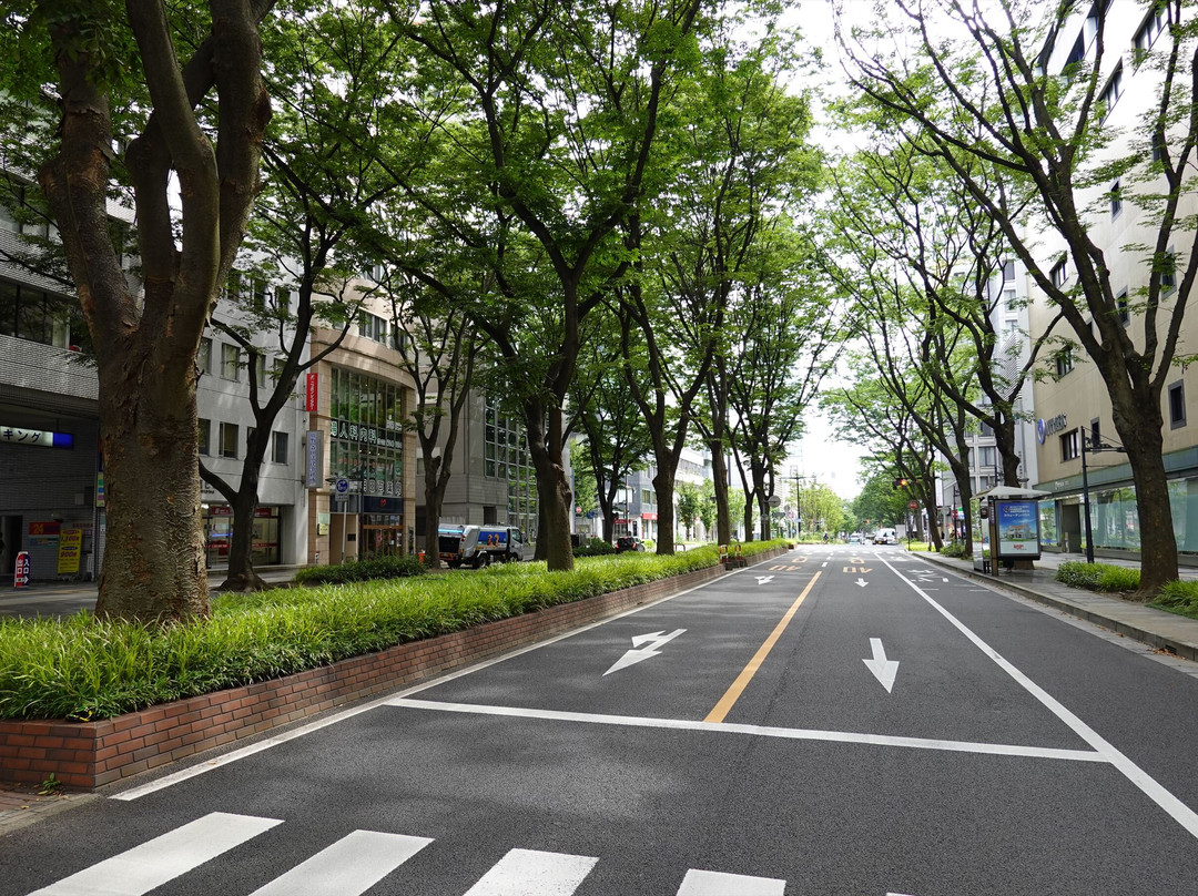 Aoba-dori Avenue景点图片