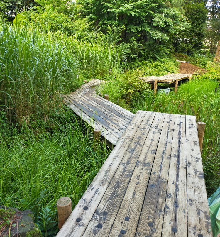 Akatsuka Botanical Gardens-板桥区必去景点