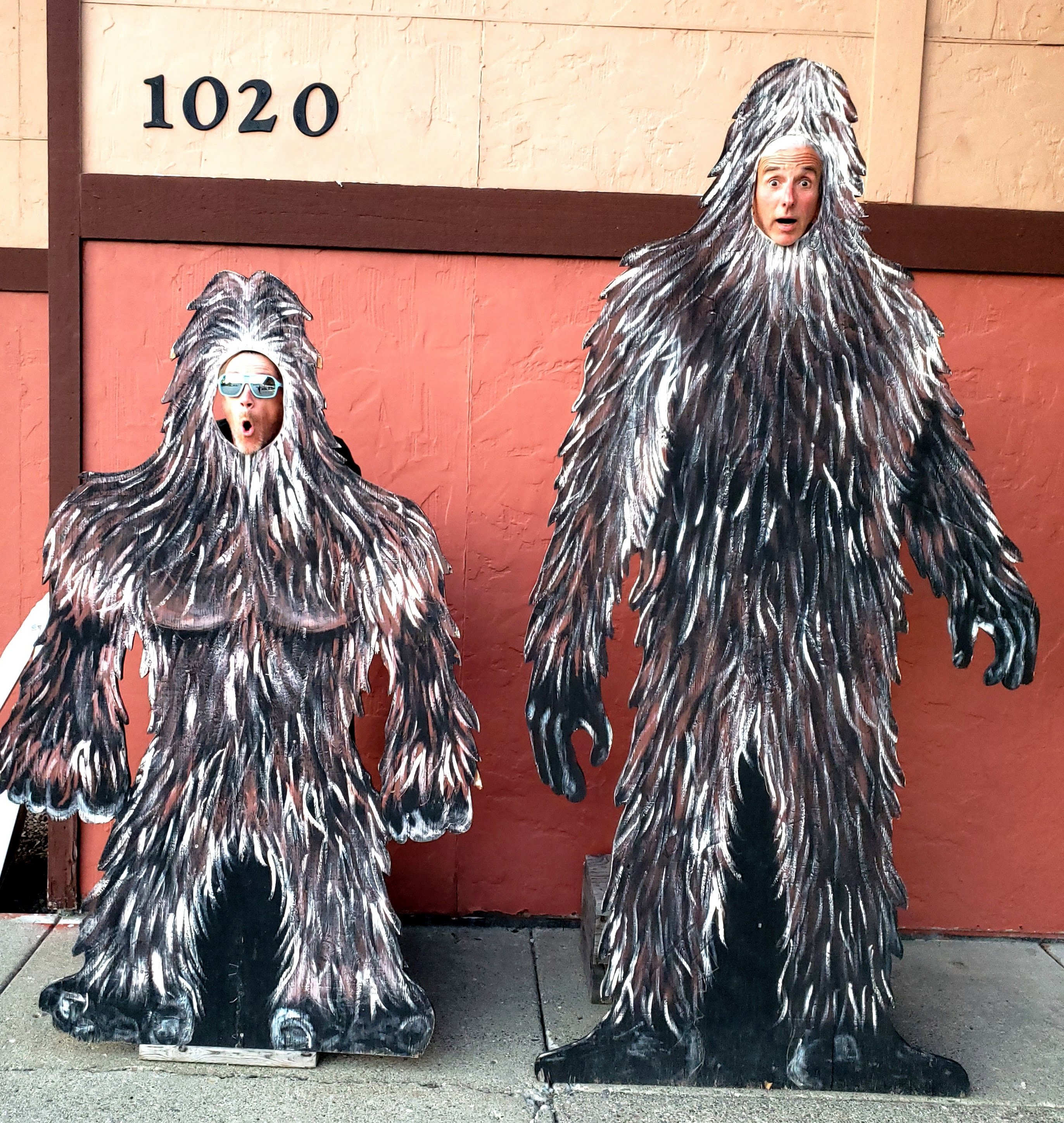 The Country Inn-家庭/游戏区