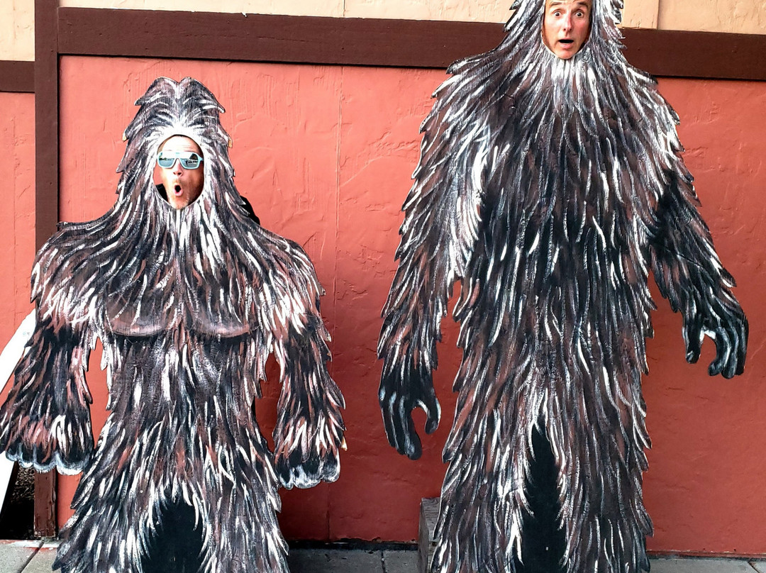 The Country Inn主图