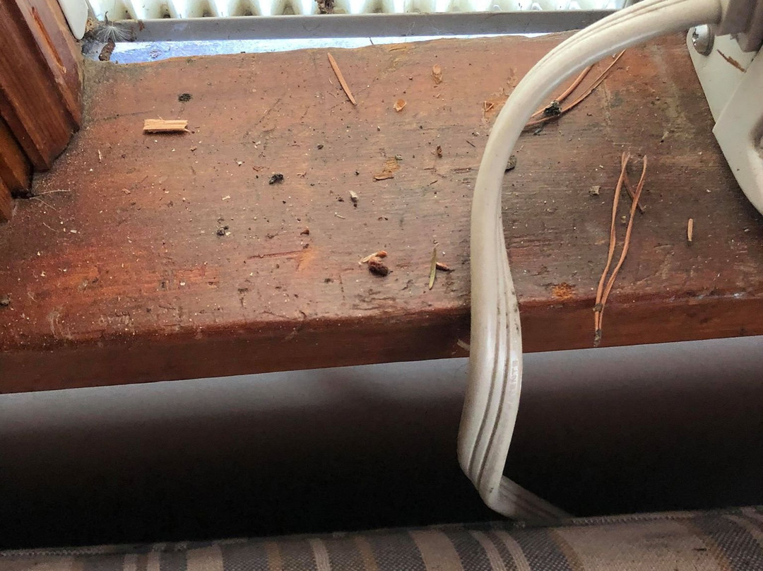 Middle Fork Motel and RV Park主图