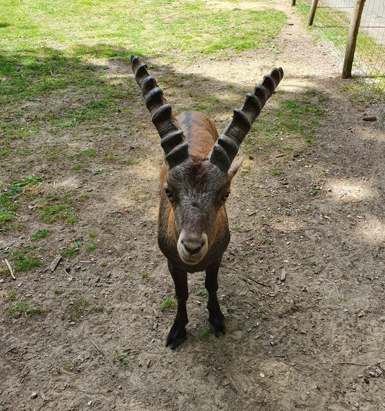 Zoo Veldhoven景点图片