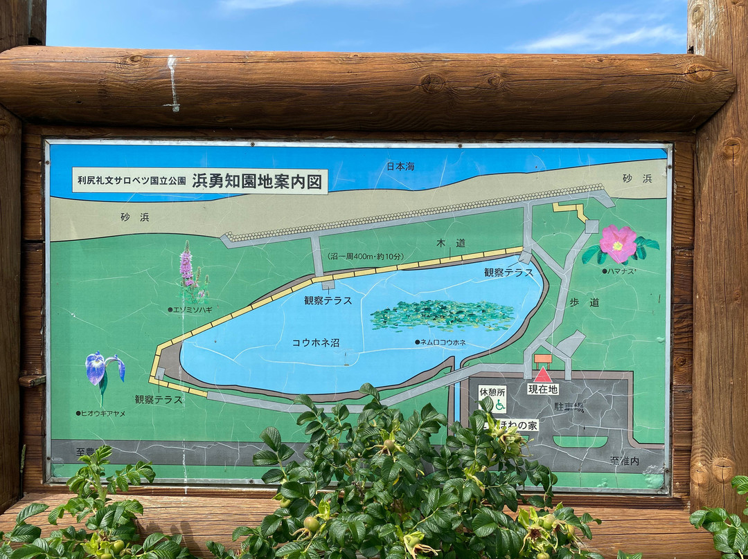 Hamayuchi Rest House (Kohone House)-稚内市必去景点