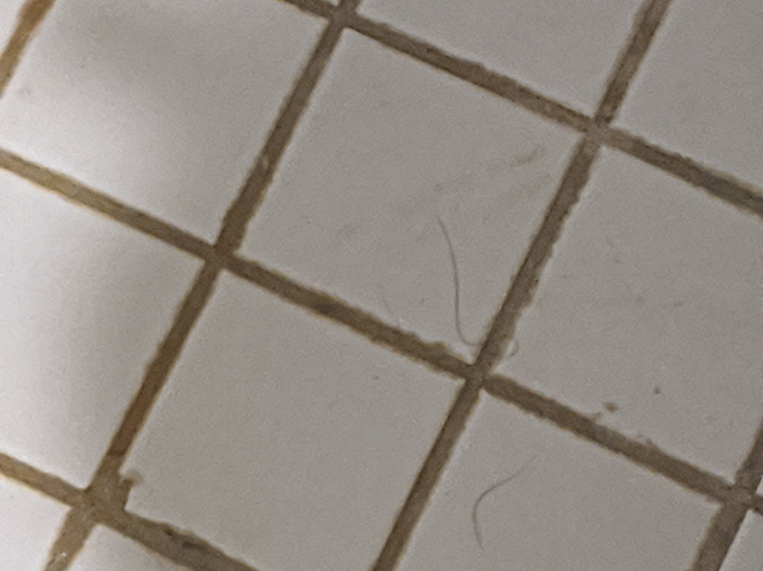 铂尔曼广场酒店主图