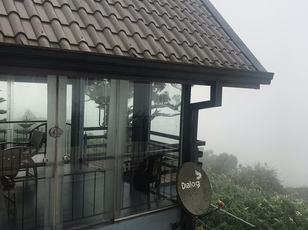 Mount Lake Inn主图