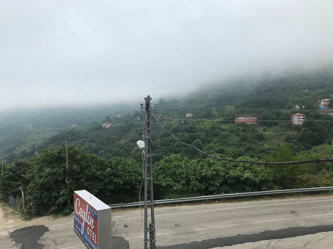 Amasra Ceylin Hotel主图