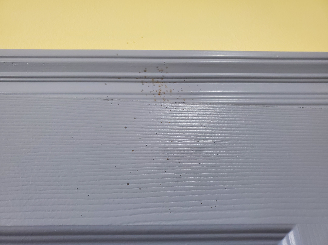 Days Inn by Wyndham Baton Rouge Airport主图