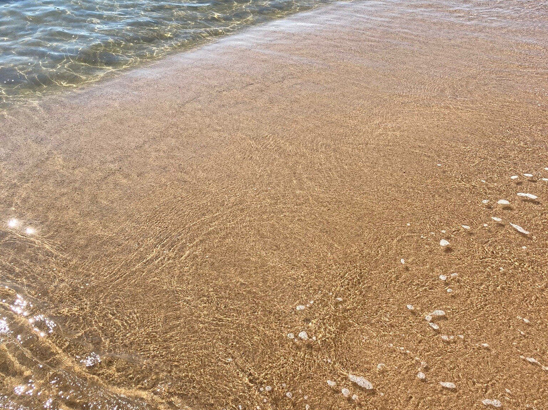 Sasagawa Nagare-村上市必去景点