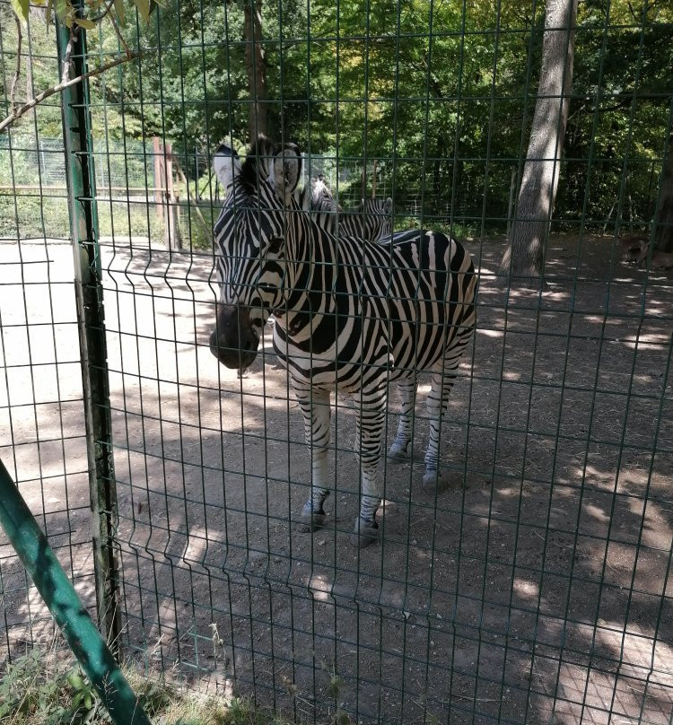 Zoo du Bois d'Attilly景点图片