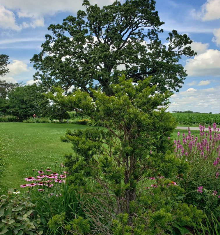 McEachran Homestead Winery-Caledonia必去景点