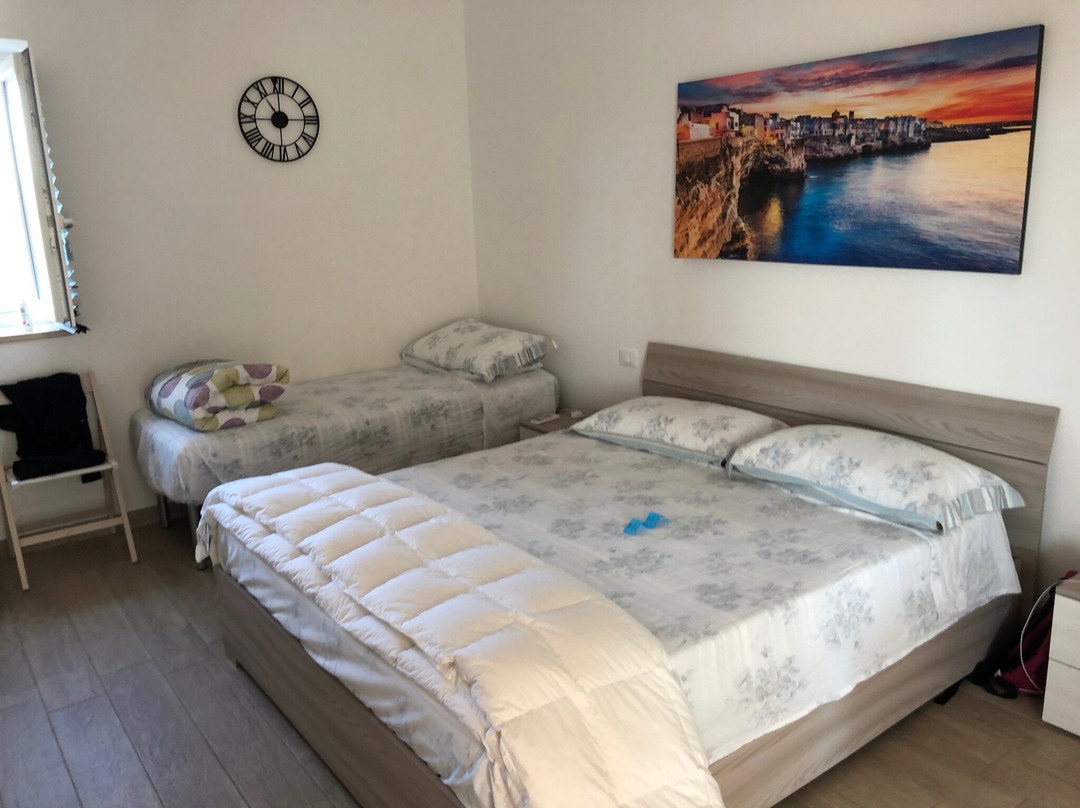 Casa 801主图