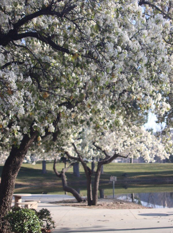 Glen Helen Regional Park-圣贝纳迪诺必去景点