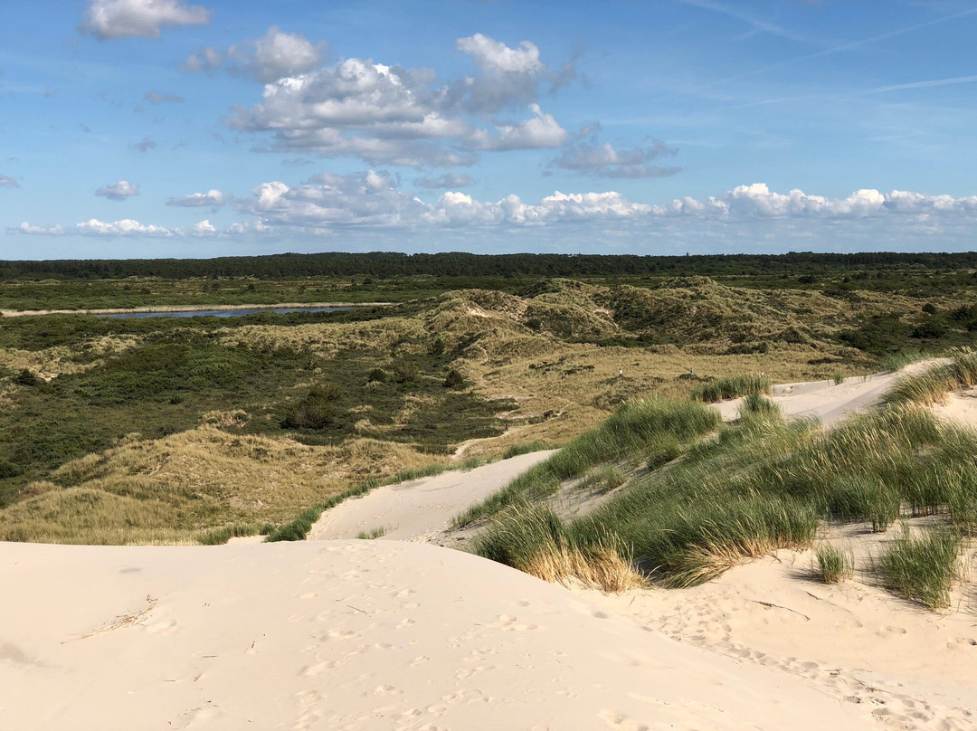 Groene Strand Beach-West-Terschelling必去景点