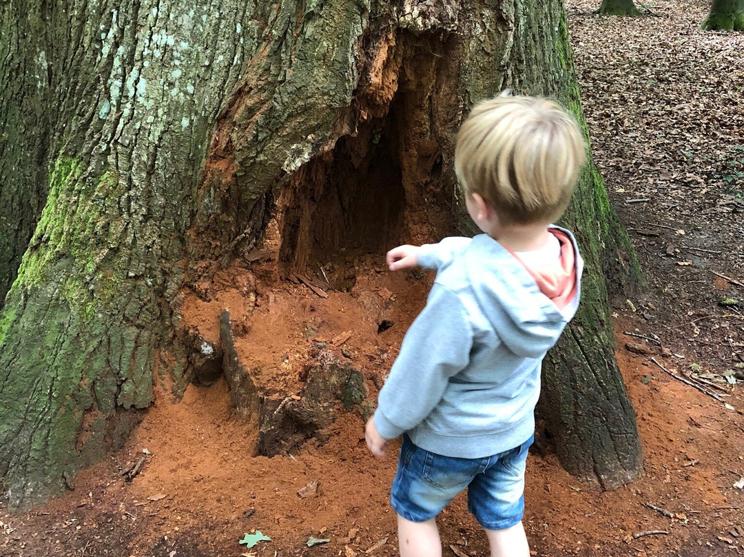 Steinfurter Bagno-Steinfurt必去景点