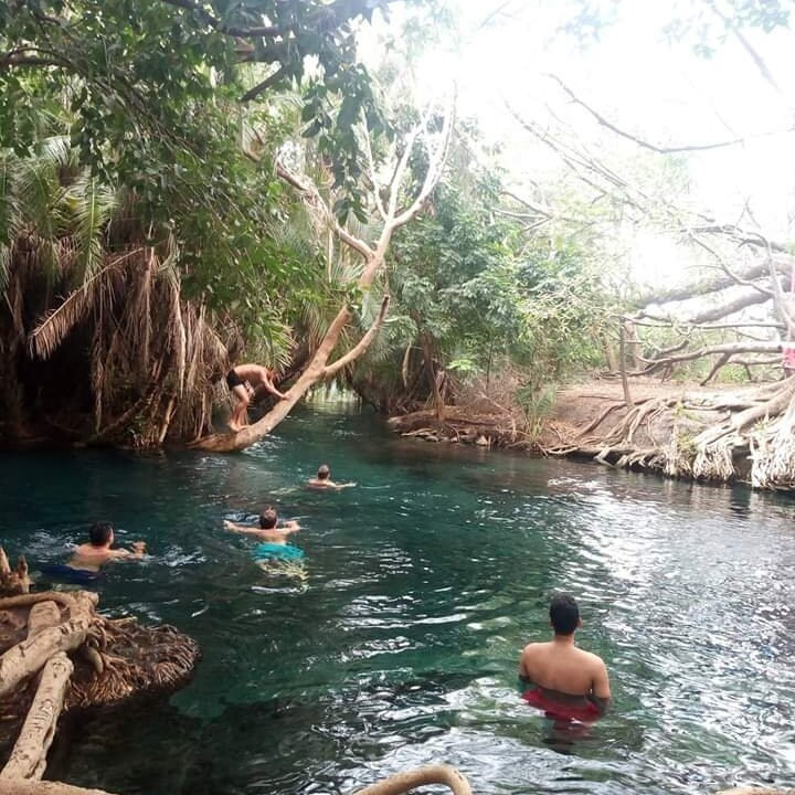 Kikuletwa Hotsprings-莫西必去景点