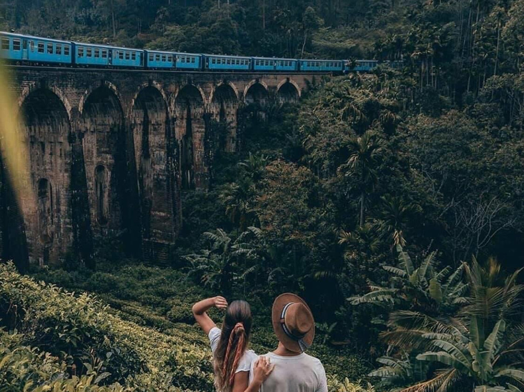Peacock Tours & Travels景点图片