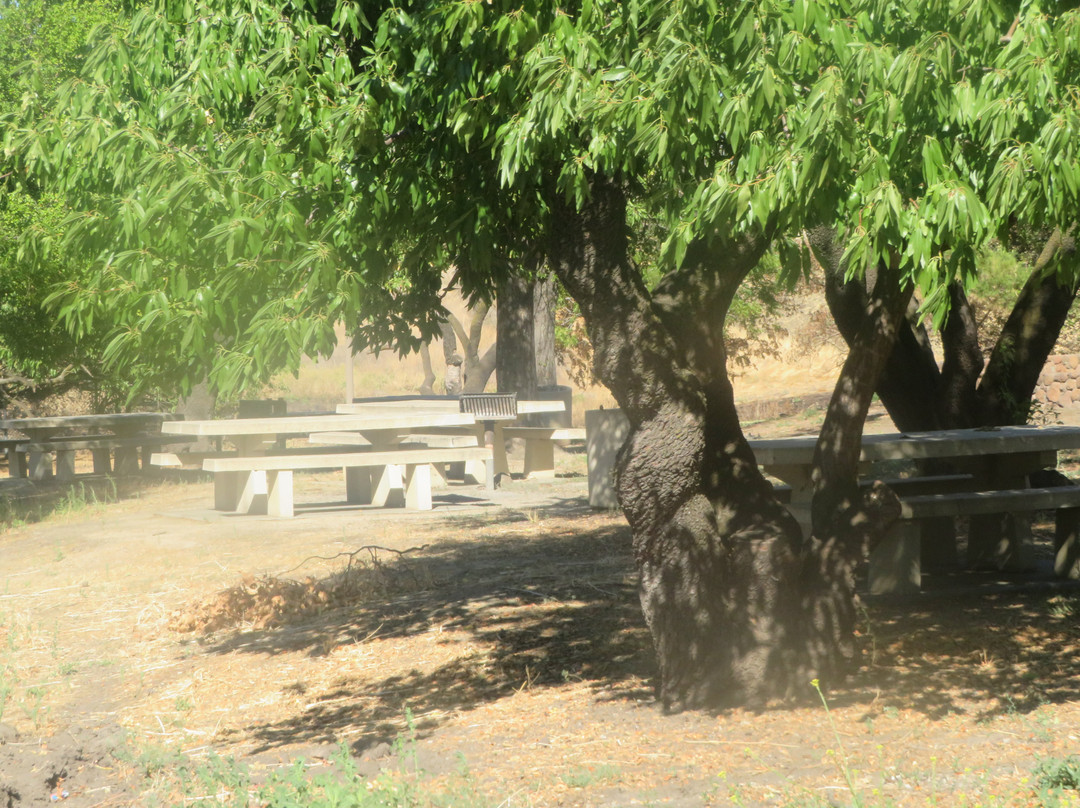 Antioch Community Park-安条克必去景点