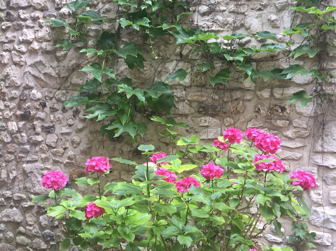 Le Havre de Bennecourt主图